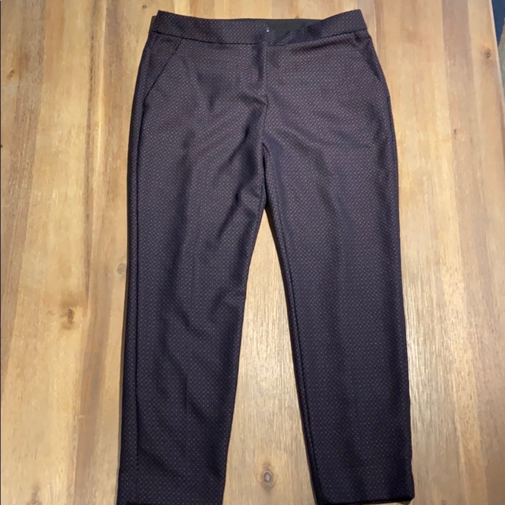 Express Columnist Dress Pants